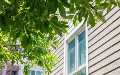 What is the Cost of installing new Vinyl Siding for A Calgary Home?