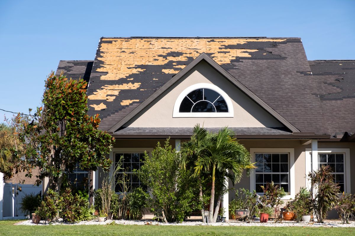 Insurance Hail Claim Inspection Insurance inspection for hail damage in Chestermere