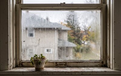 7 Signs You Need New Windows: A Calgary 2026 Homeowner Guide