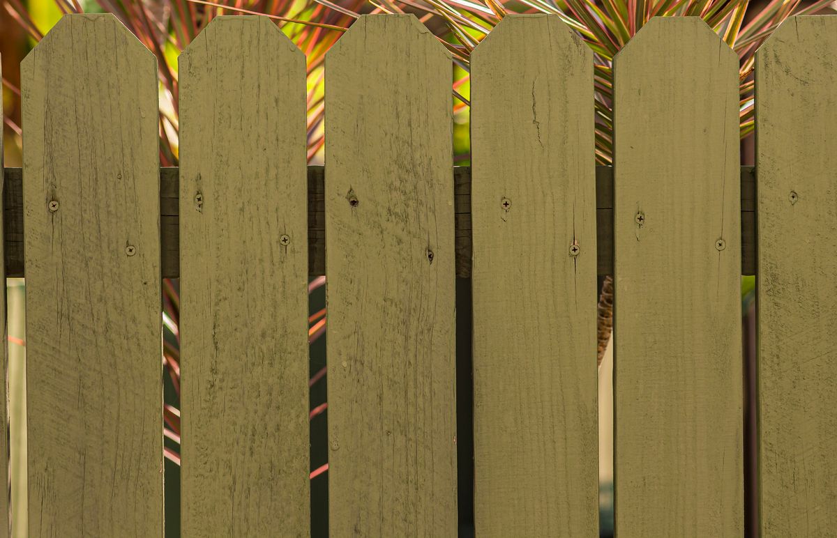 Close-up of weathered painted wood fence pickets with a worn finish, cracks and exposed screws