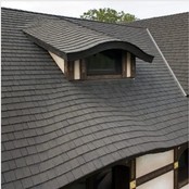 Home with a Euroshield Beaumont Shake roof